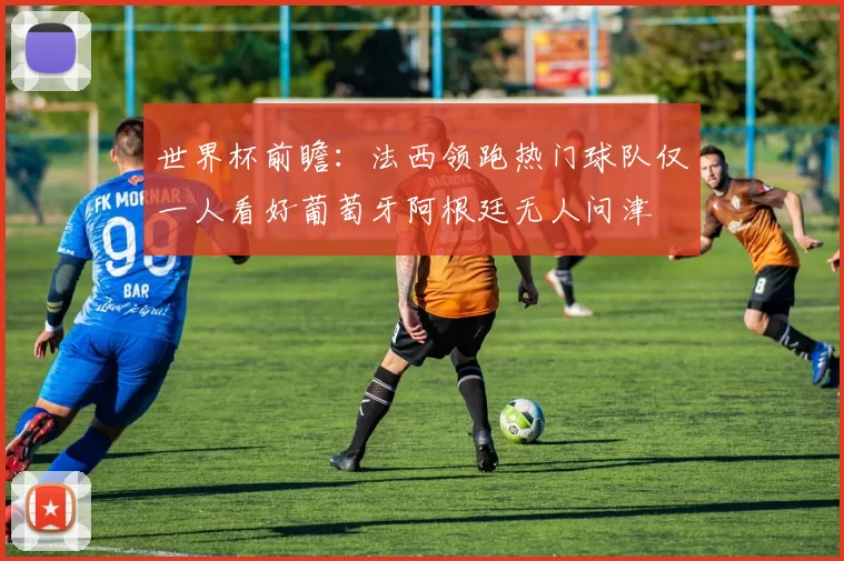 世界杯前瞻：法西领跑热门球队仅一人看好葡萄牙阿根廷无人问津